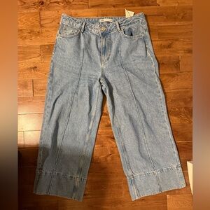 Zara wide leg ankle